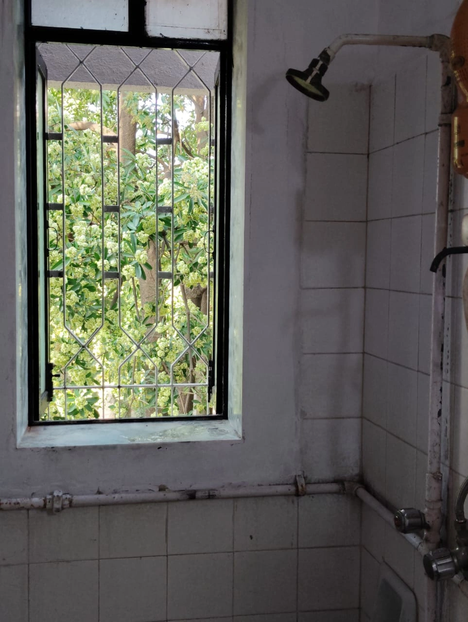 2 BHK Flat for Rent in Raheja Heights, Malad East